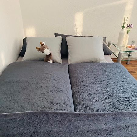 Schoene Wohnung In Roefingen Rofingen Luaran gambar
